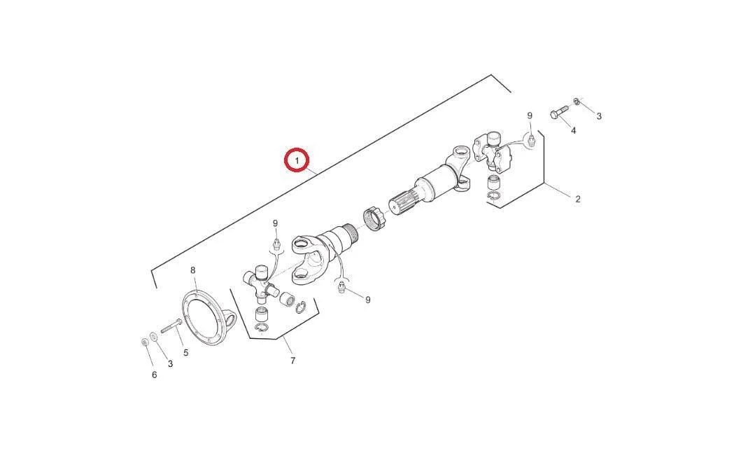 czescimanitou202605291728281460779