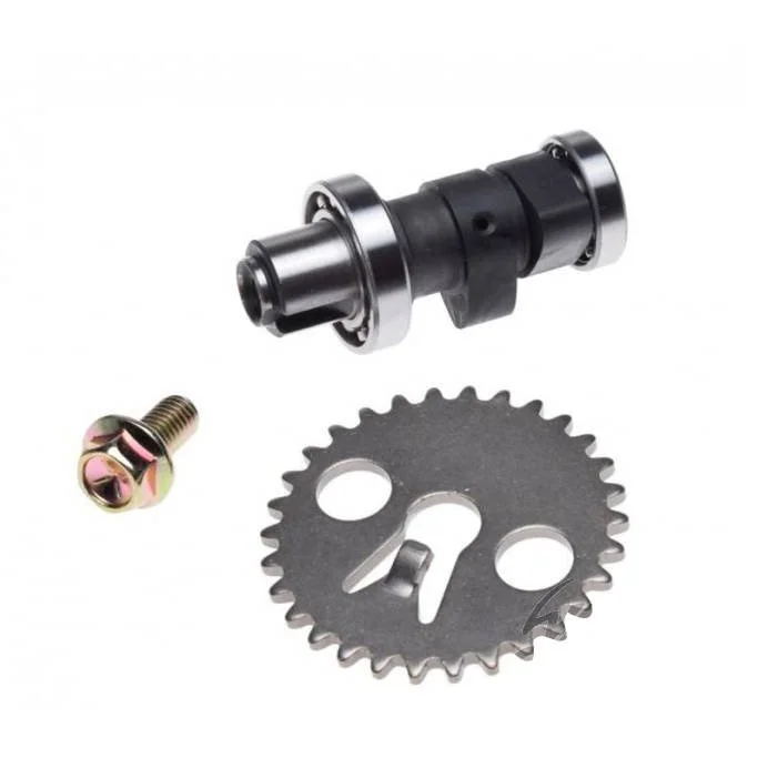 motoargo-3202606021052192033878